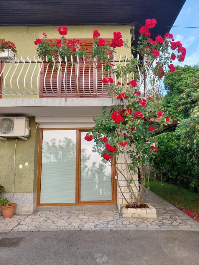 Apartma Niko Piran Buitenkant foto